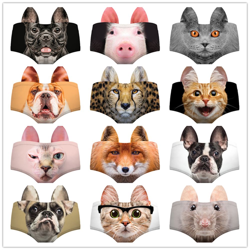 Women Cute Animals Pattern Pan - Heavy Equipment Cat のレビューと価格