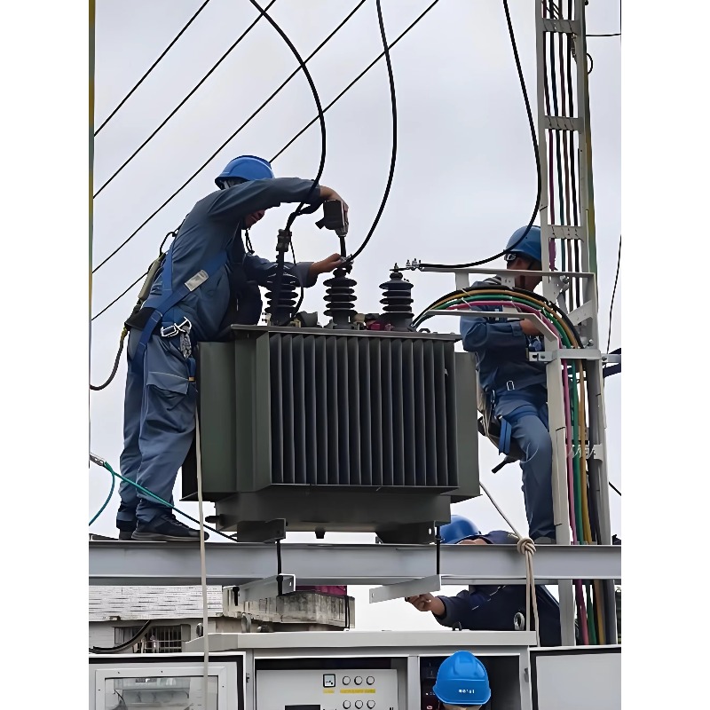 Euro Grid Liquid Immersed Tran - Heavy Equipment Supplier のレビューと価格