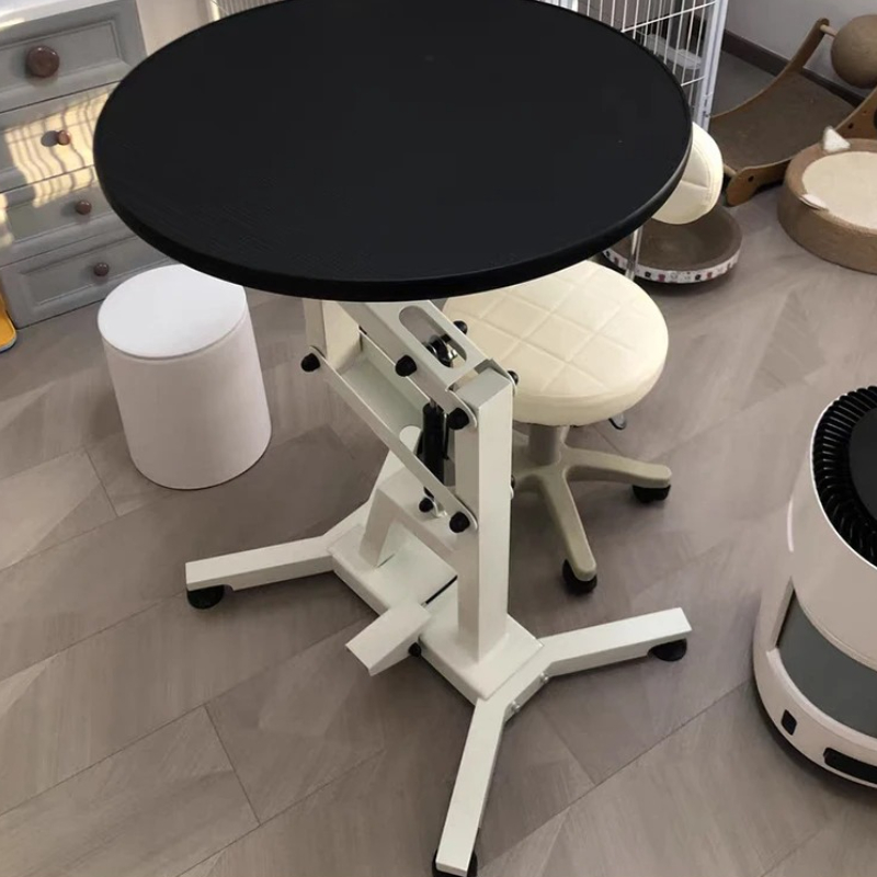 Pet Grooming Table for Small D - Heavy Equipment Cat のレビューと価格