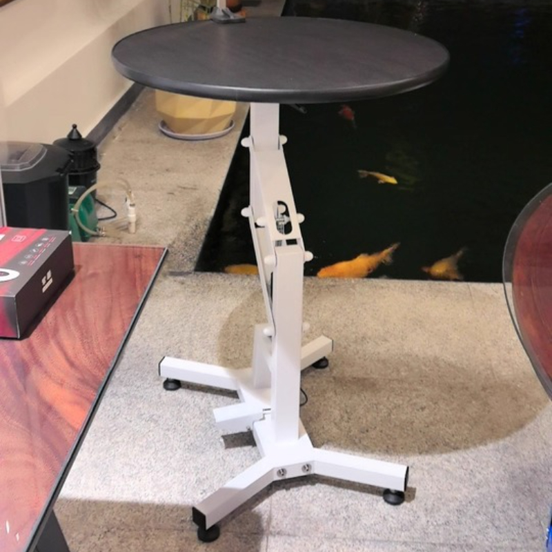 Pet Grooming Table for Small D - Heavy Equipment Cat のレビューと価格